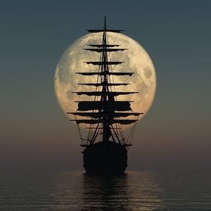 Meet your Posher, Jake